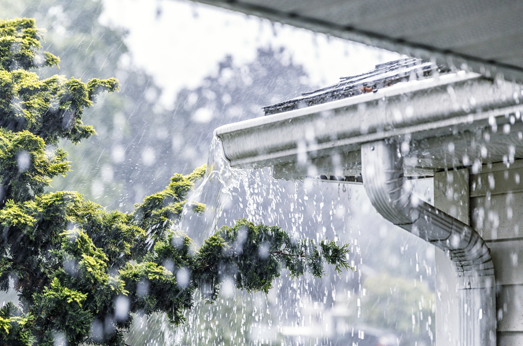Avoid Preventable Storm Damage to Your Home in the Valley